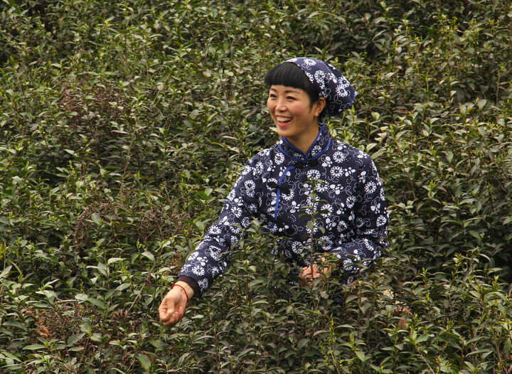 热血战斗专题